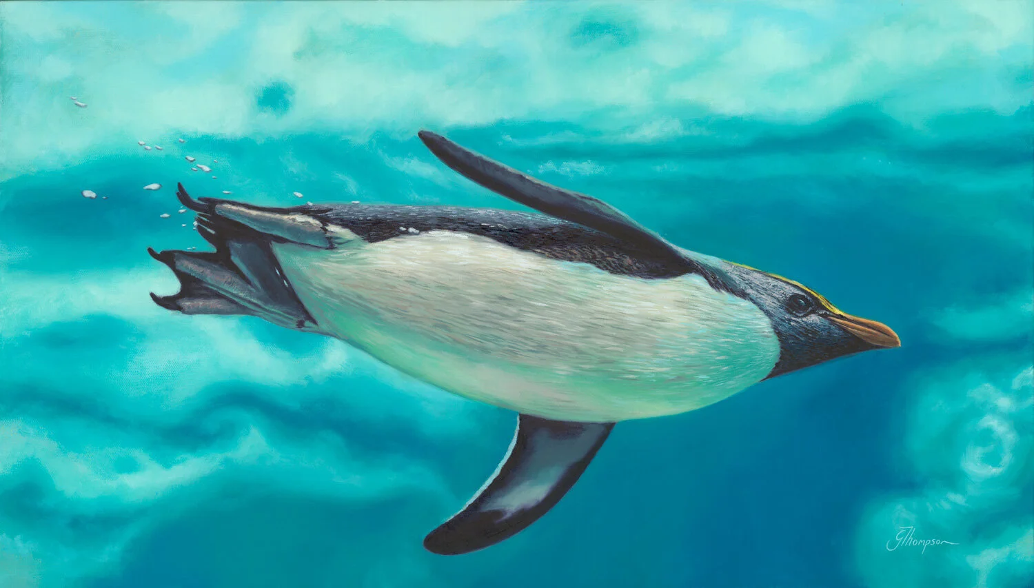 Come Fly With Me - Giclee Print - Unframed A2