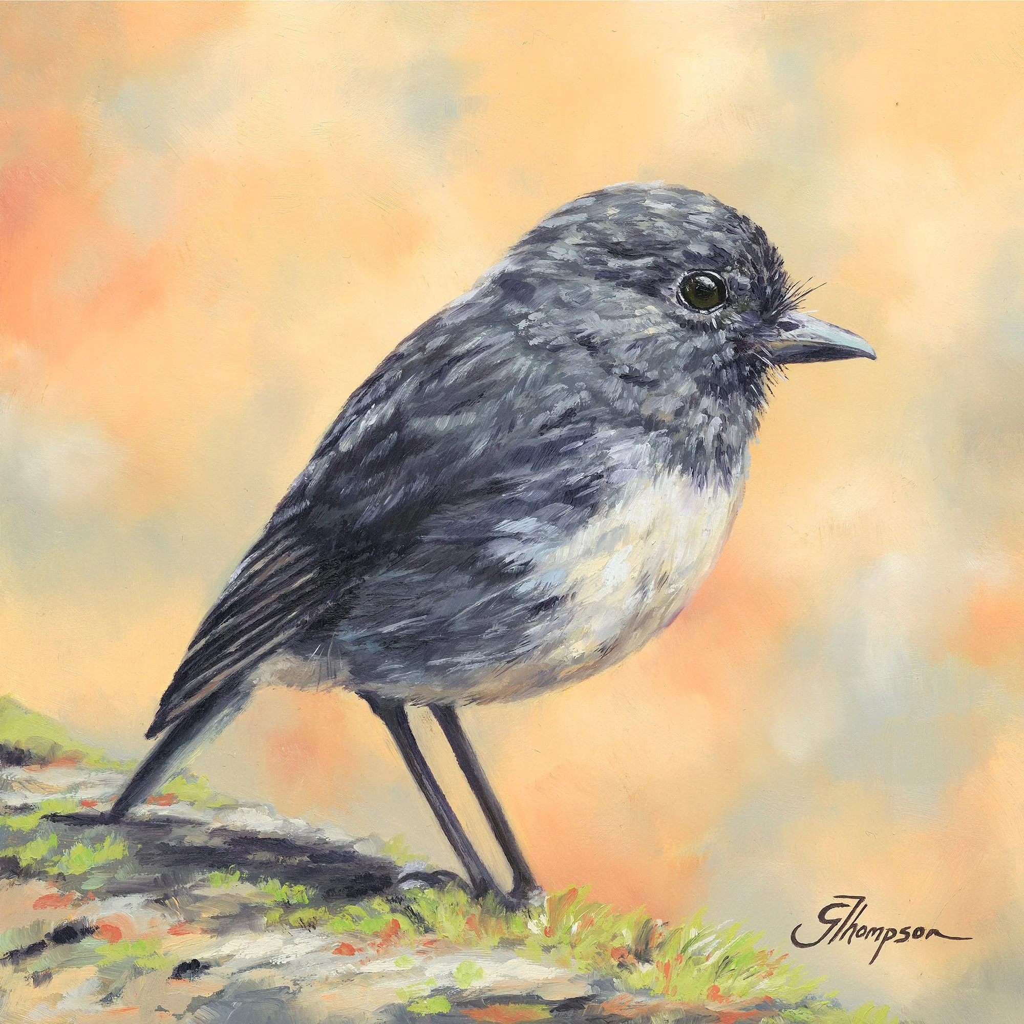 gallery_little_robin_art.jpg