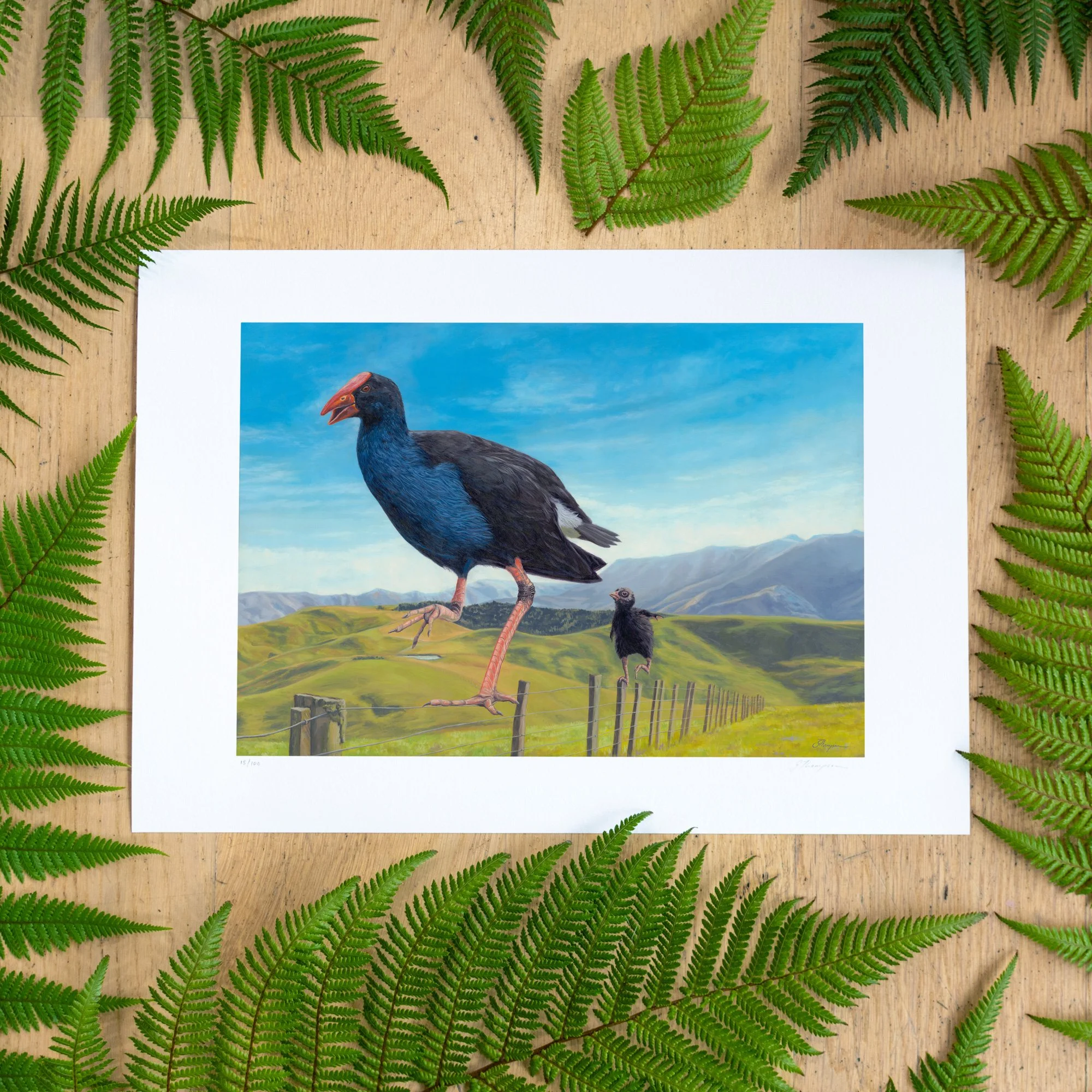 shop-wobbly-wire-walkers-a3-print-fern-BG-straight-sq.jpg