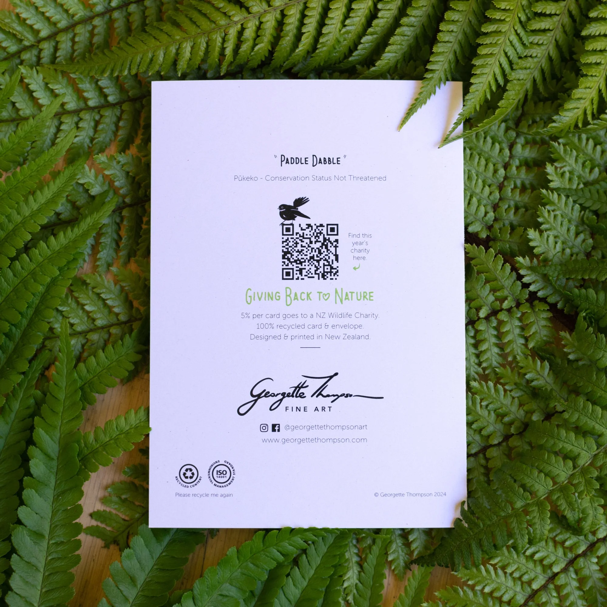 shop-greeting-card-paddle-dabble-fern-BG-back-01.jpg