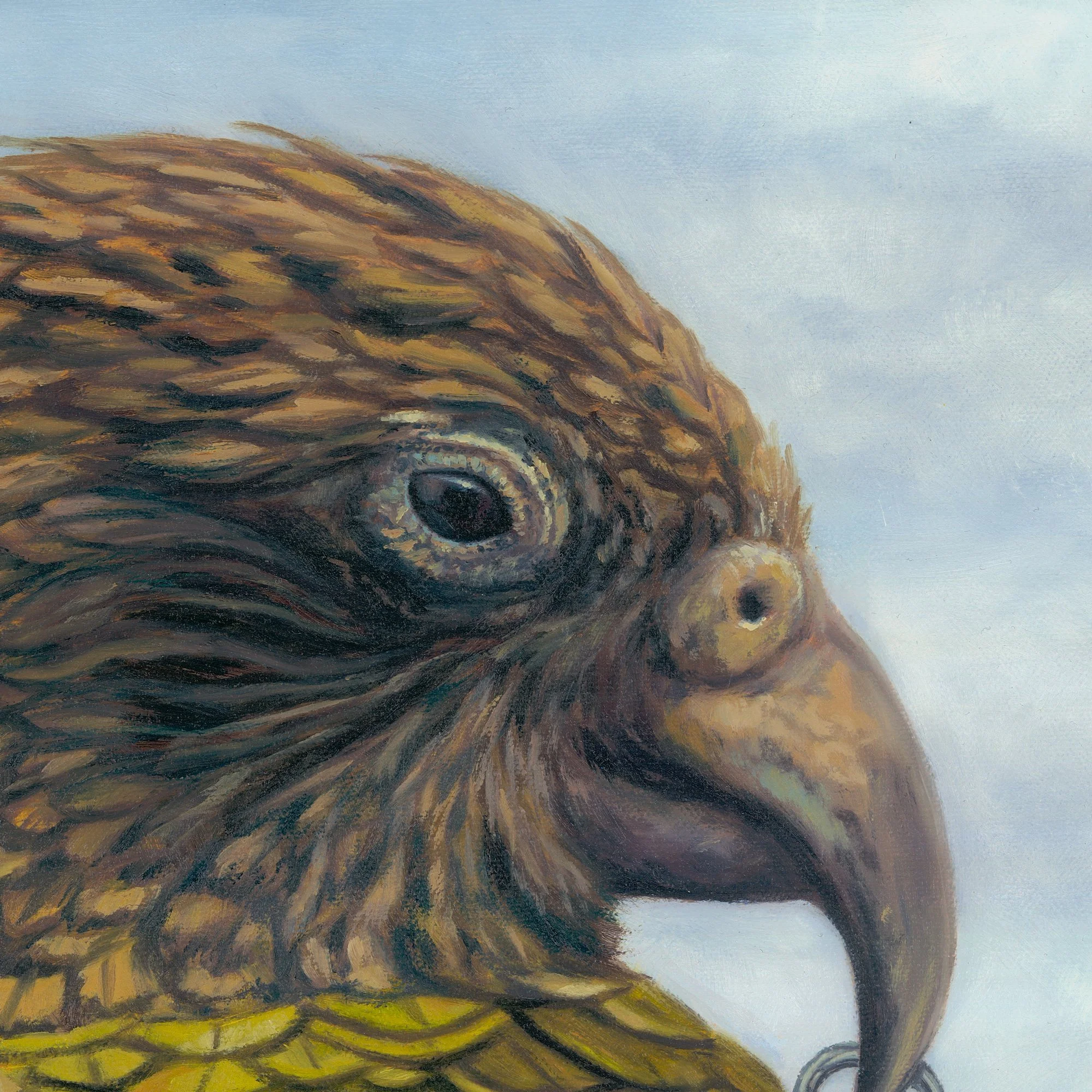 shop-original-kea-driver-detail-2.jpg