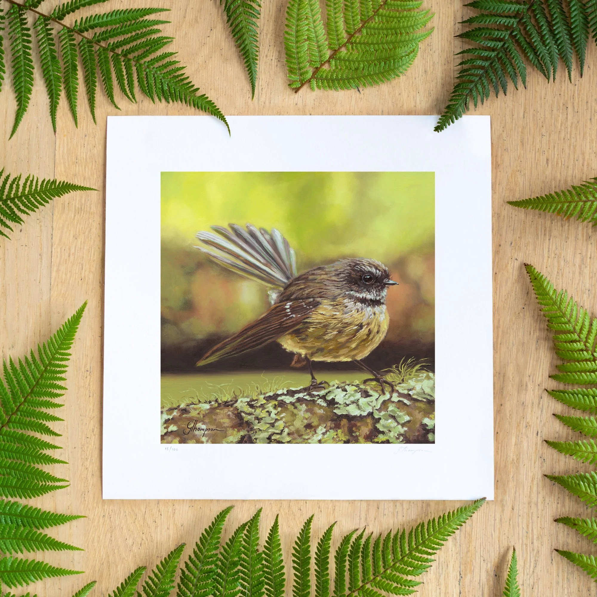 shop-forest-fantail-square-print-fern-BG-straight-sq.jpg
