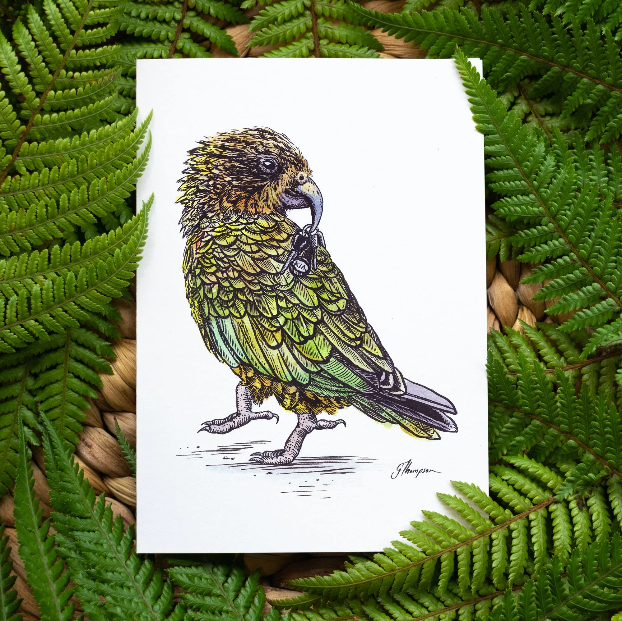 shop-greeting-card-wheres-the-keys-fern-BG-angle-01.jpg