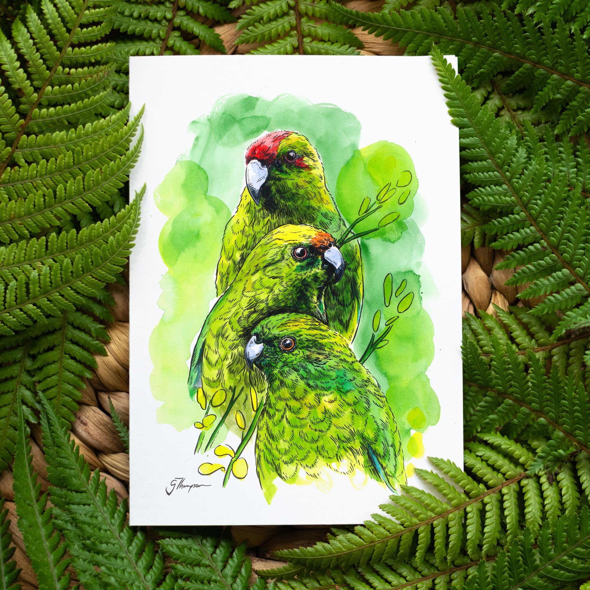shop-greeting-card-kakariki-traffic-light-sq.jpg