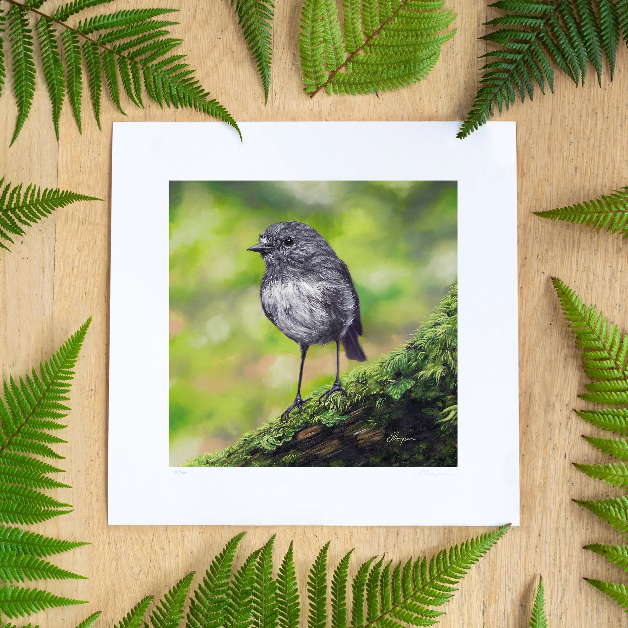shop-early-bird-square-print-fern-BG-straight-sq.jpg