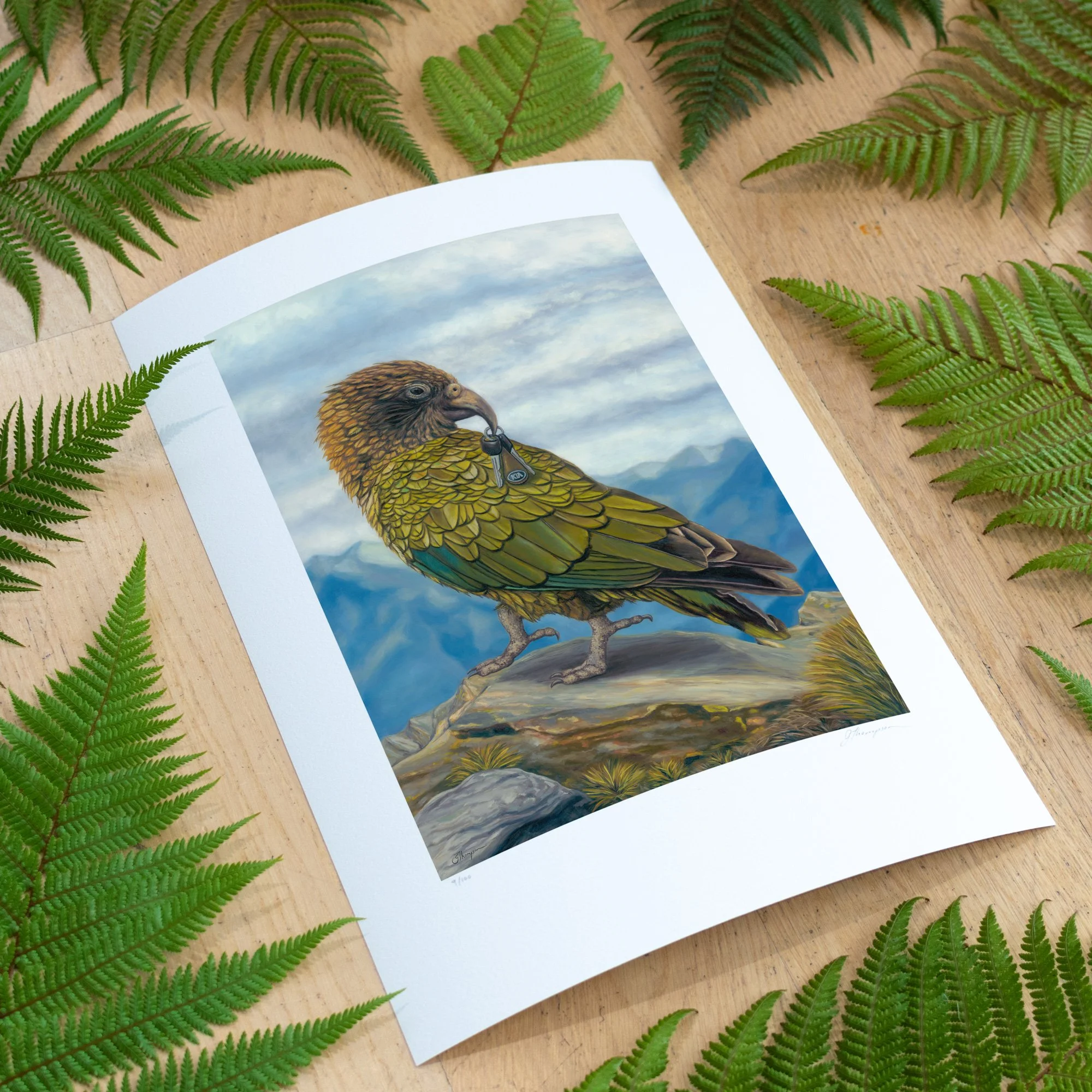 shop-kea-driver-a3-print-fern-BG-angle-sq.jpg