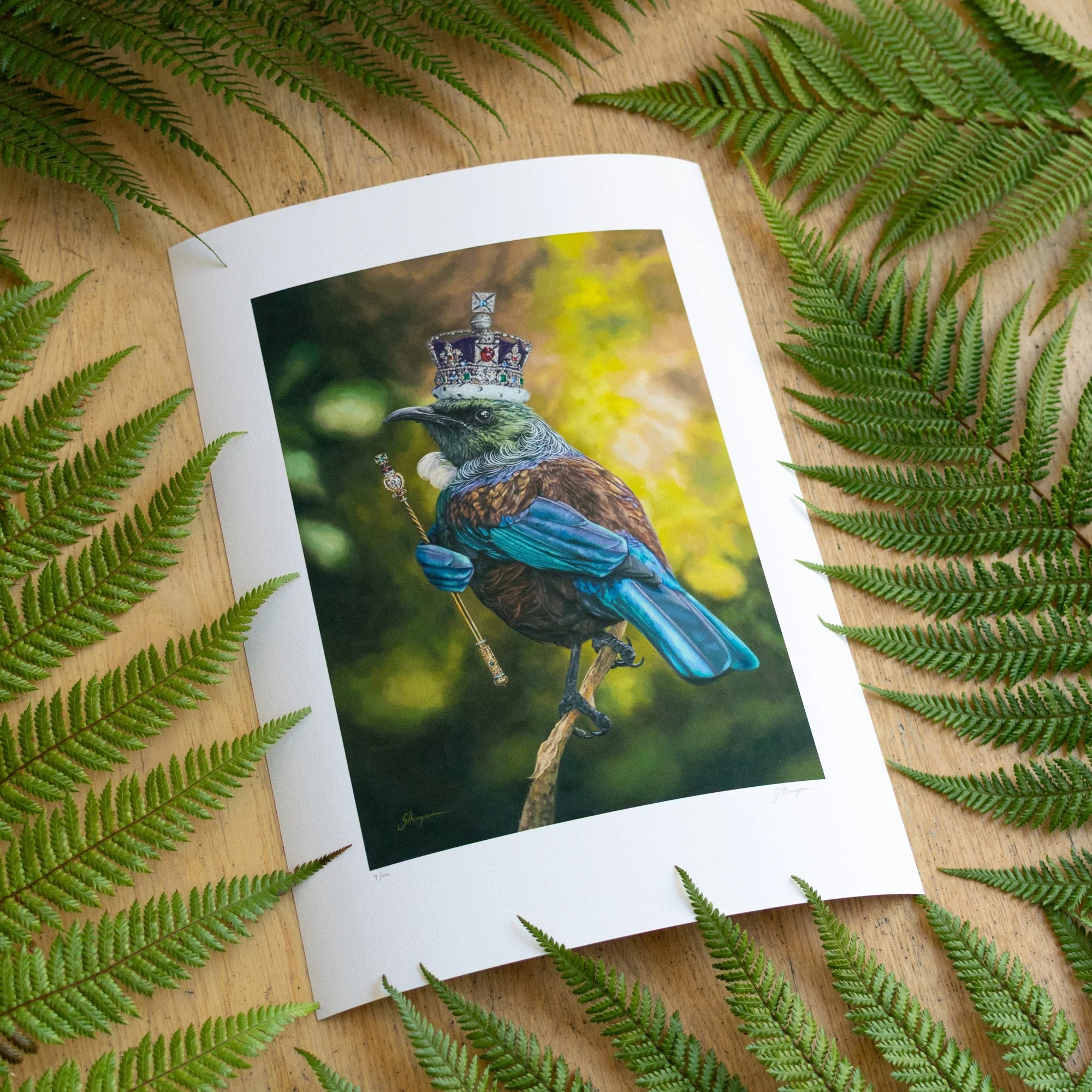 shop-giclee-royal-tui-a3-angle-3.jpg