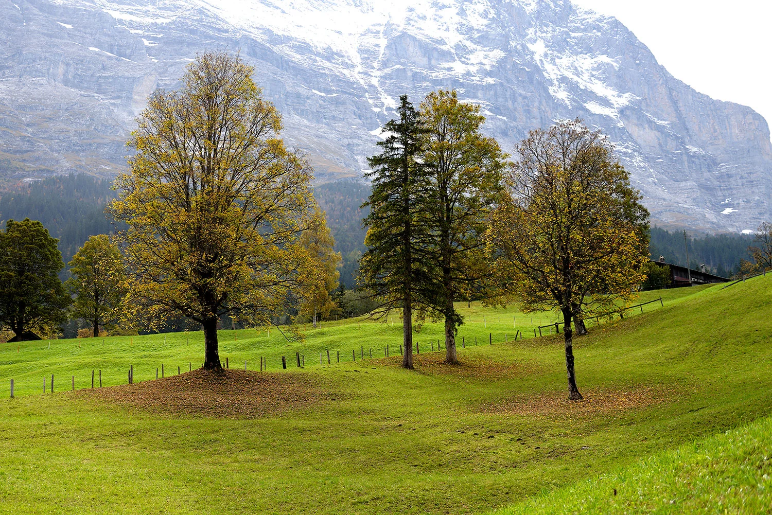 Aspen_Herbst_058.jpg
