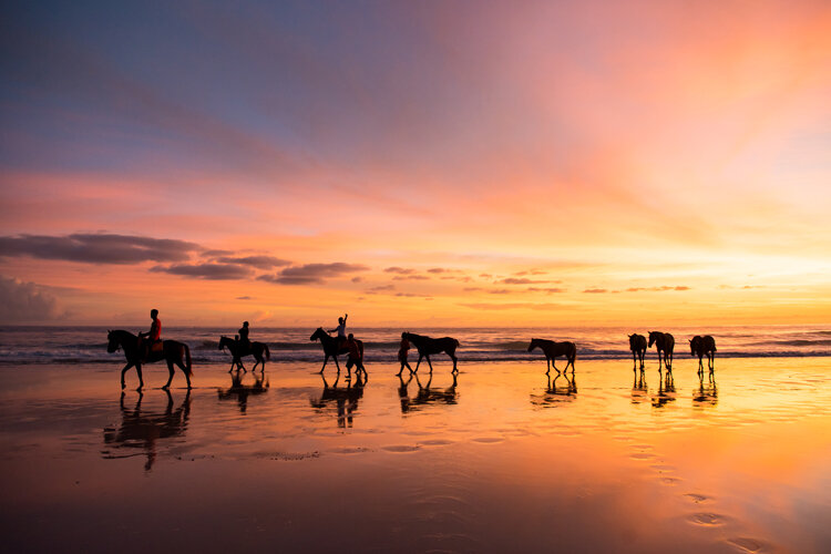 Ride into Sunset on The Beaches of Sumba