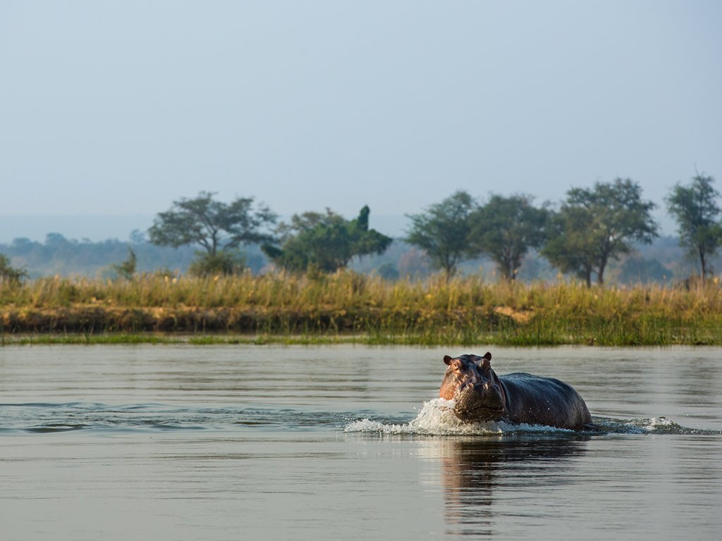 Sapi reserve.jpeg