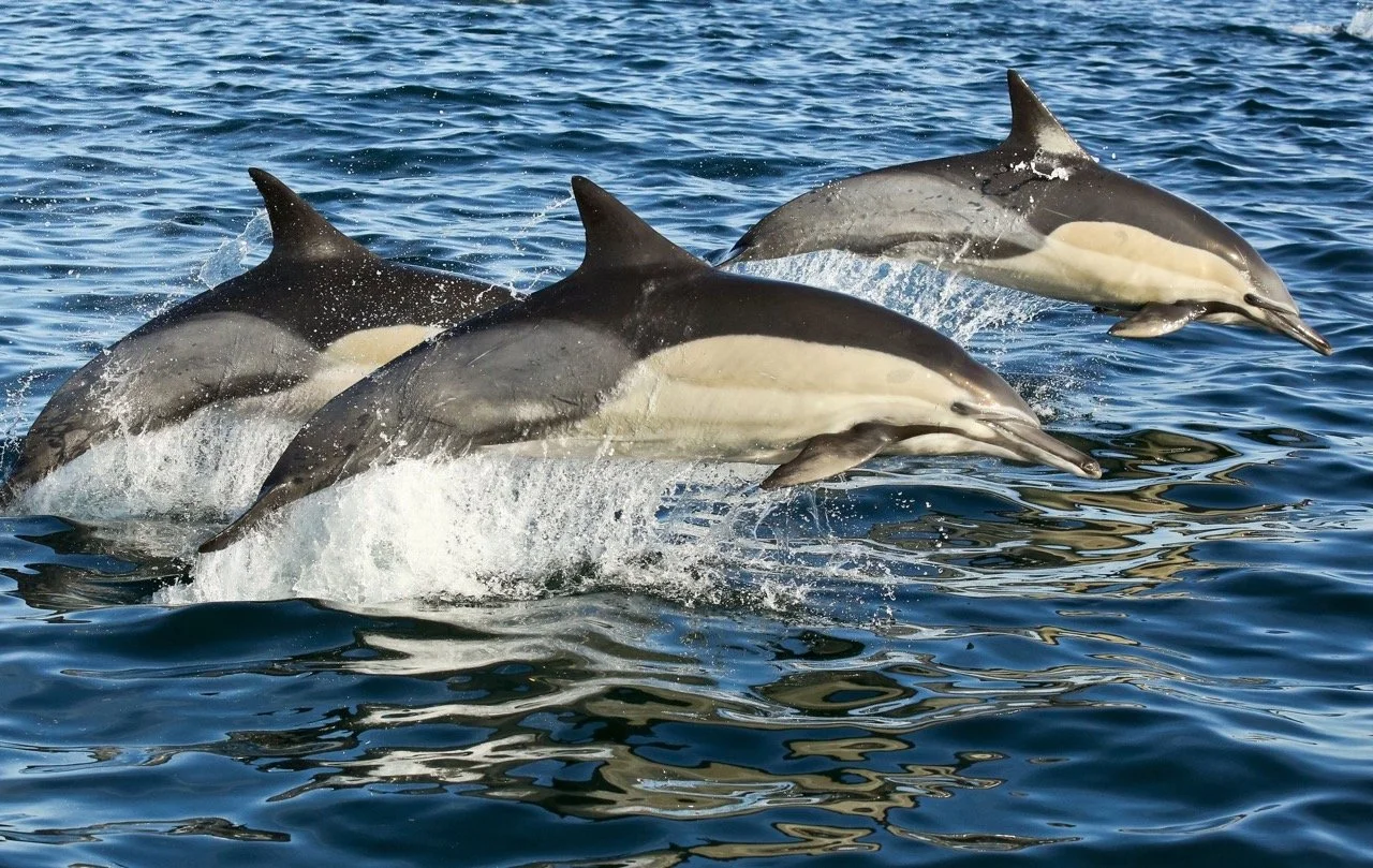 Founder's Note | Travel for Core Memories