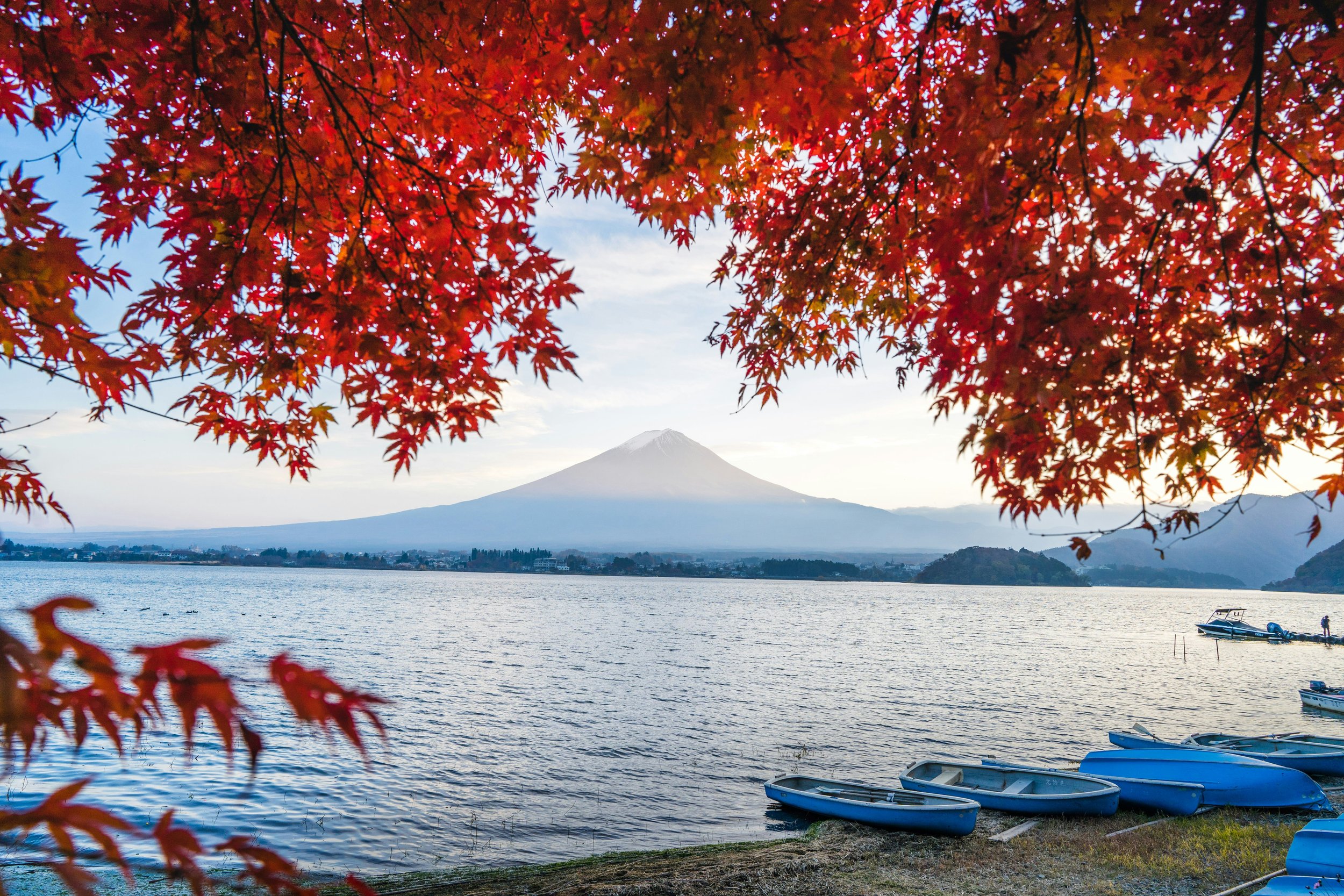 Japan autumnsunil-naik-hkLOXLA8QEA-unsplash.jpeg