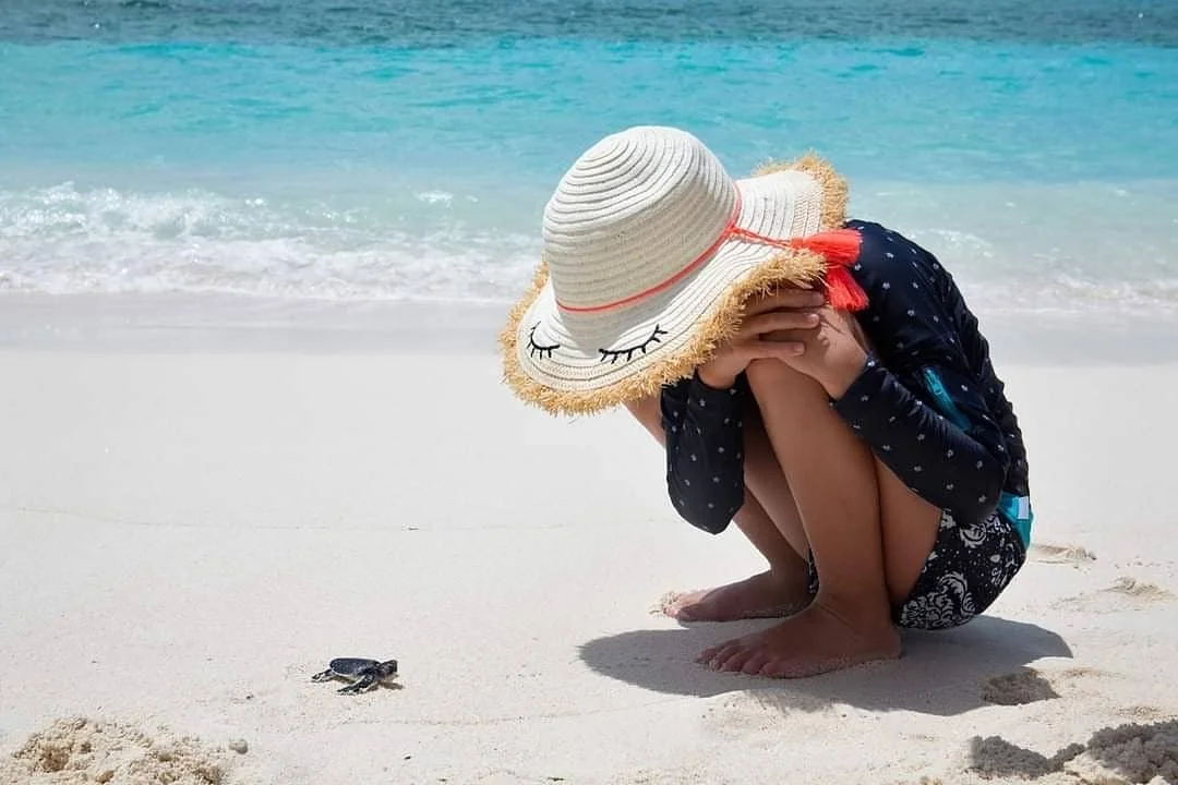 Families | A Marine Biologist's Guide to Exploring Seychelles (With the Kids)