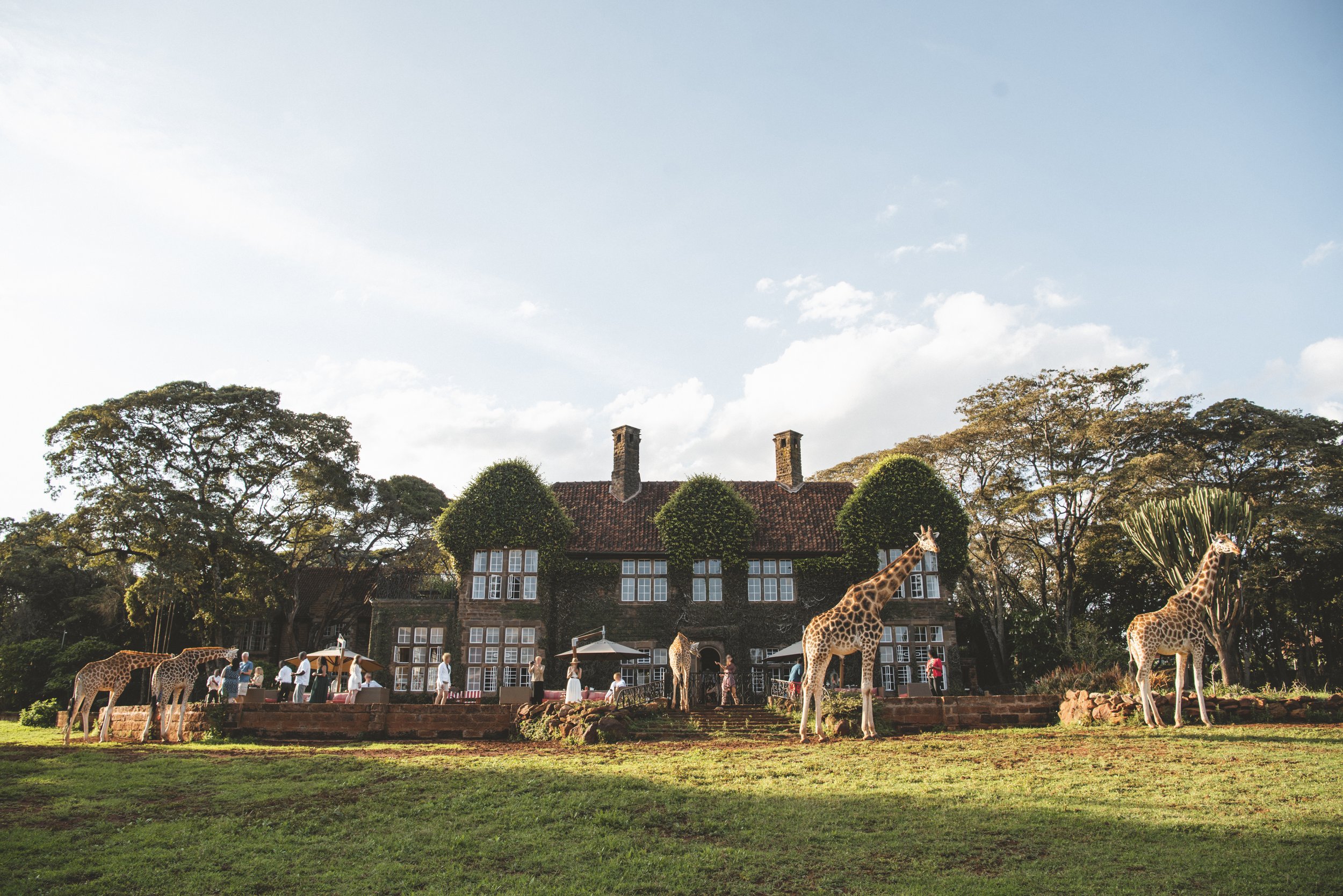 Giraffe Manor - Afternoon Tea.jpg