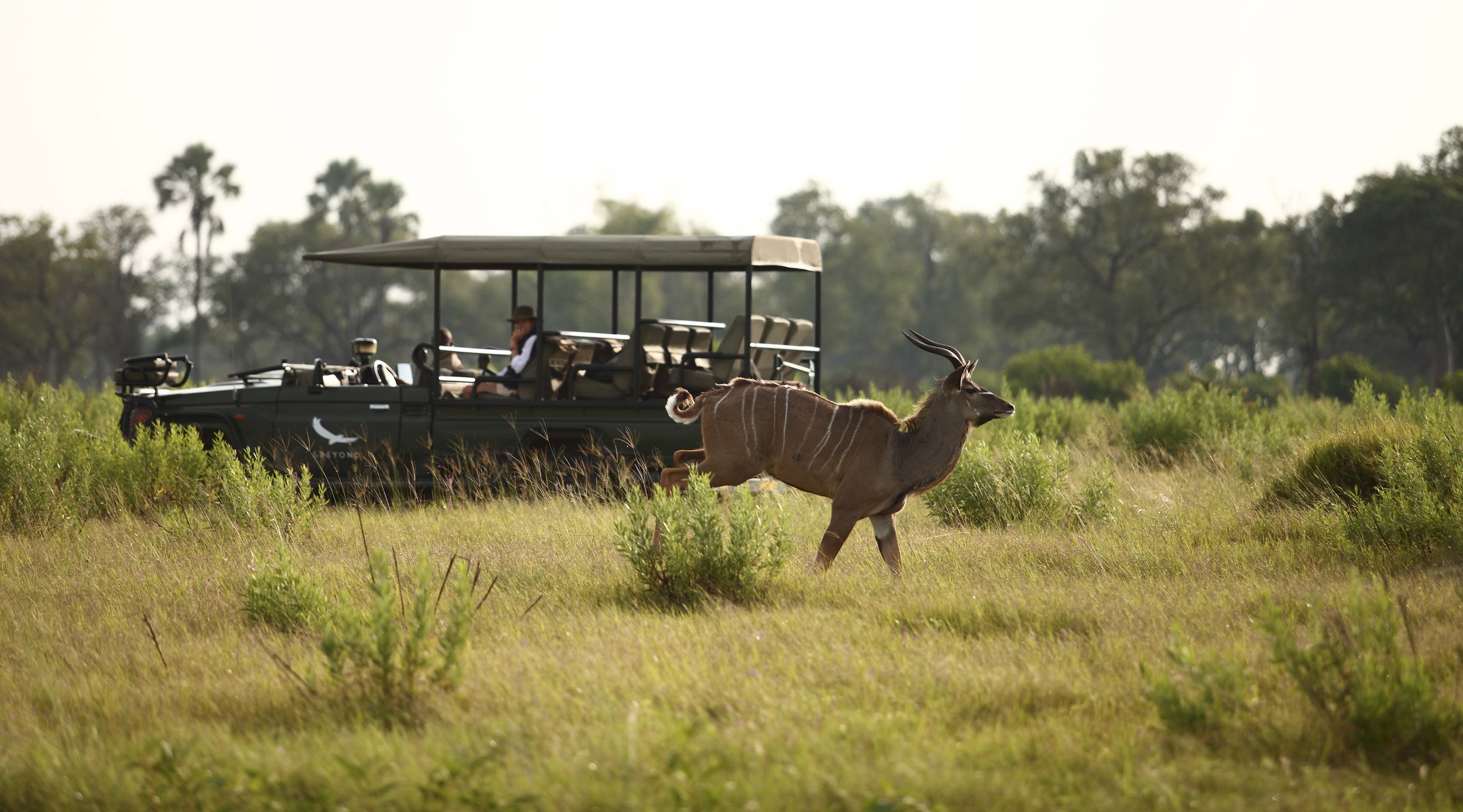 Botswana-Nxabega-Okavango-Delta-Camp-Experience-Game-Drive-with-Kudu.jpg