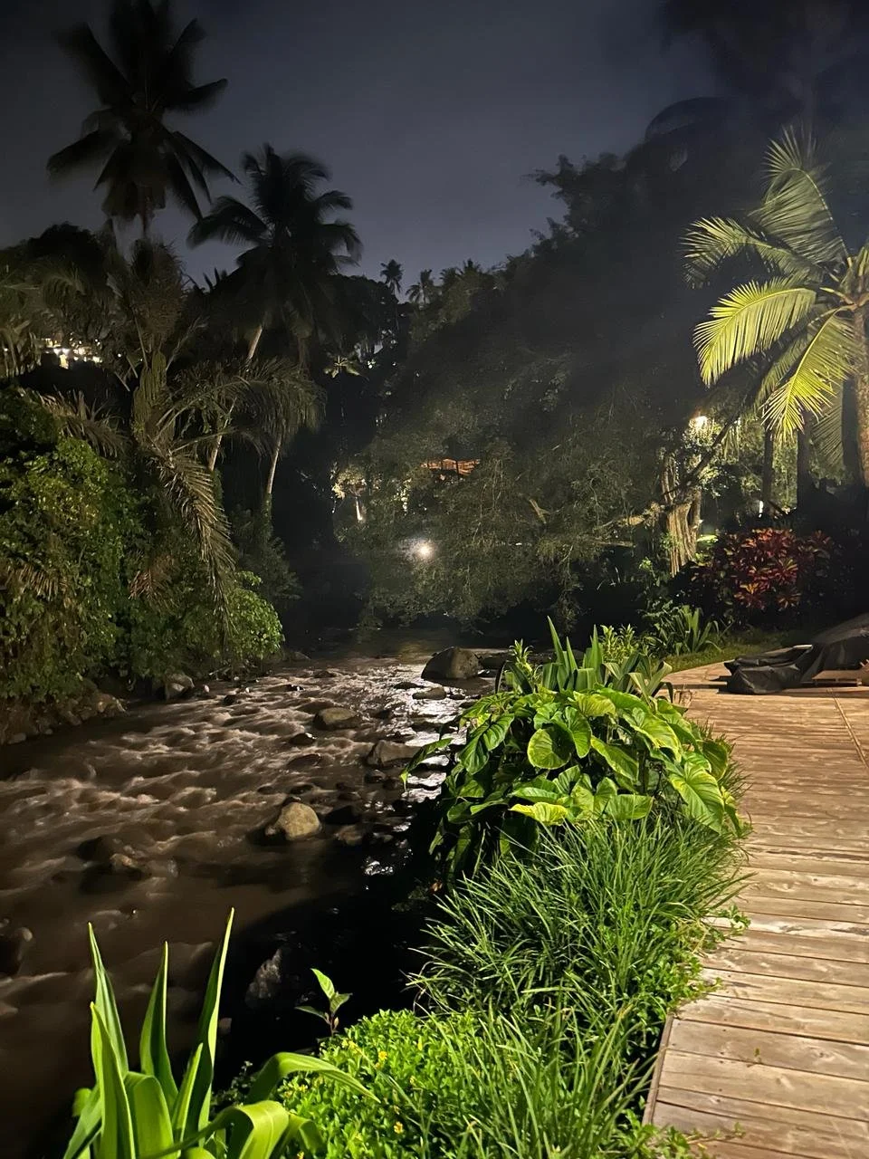 WhatsApp Image 2024-04-09 at 13.11.48.jpeg