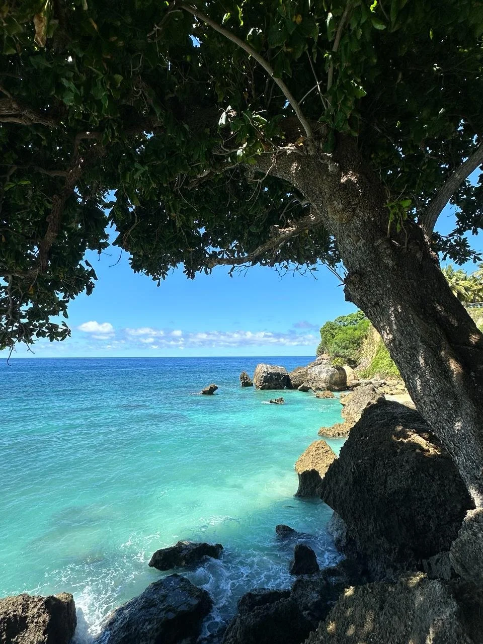 WhatsApp Image 2024-04-09 at 13.11.511.jpeg