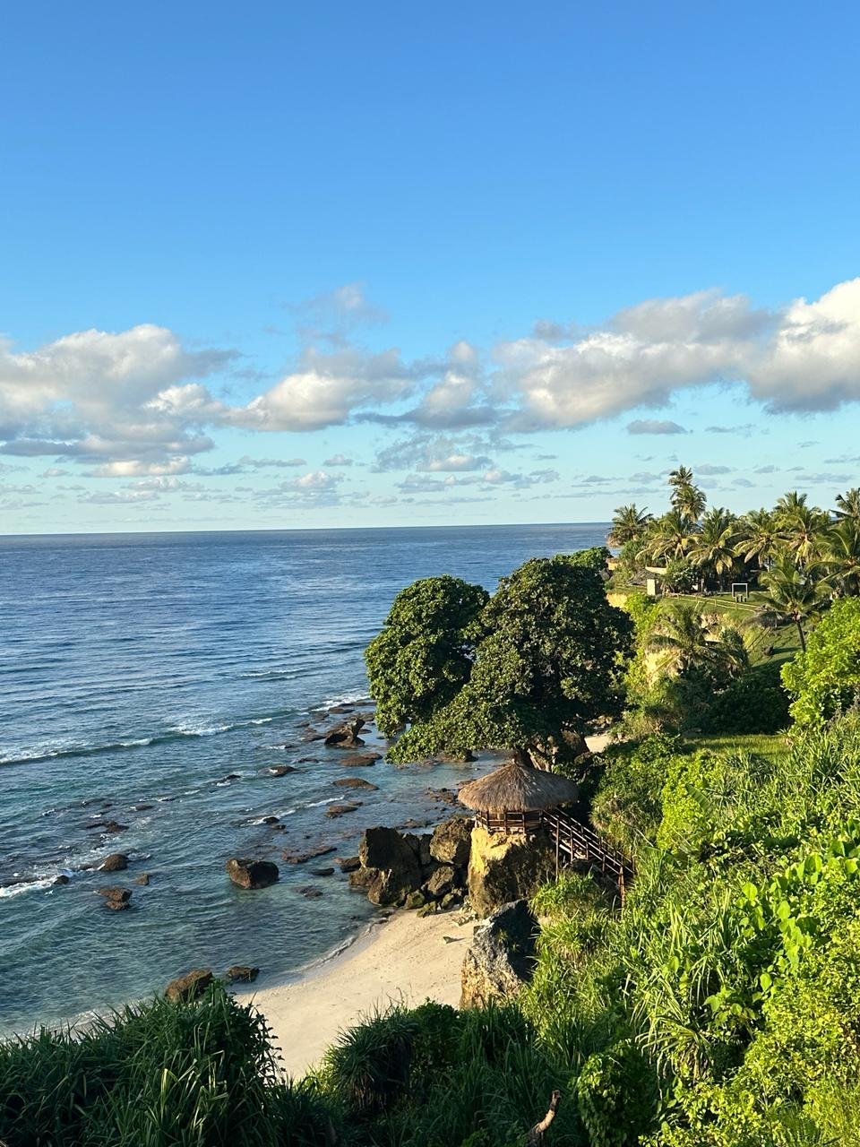 WhatsApp Image 2024-04-09 at 13.11.547.jpeg