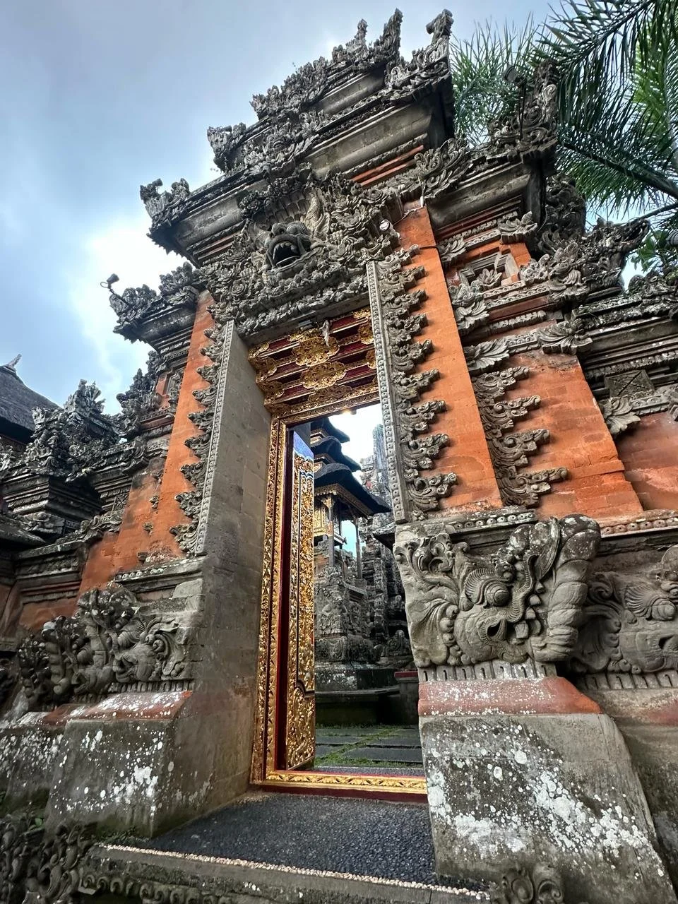 WhatsApp Image 2024-04-09 at 13.11.49.jpeg