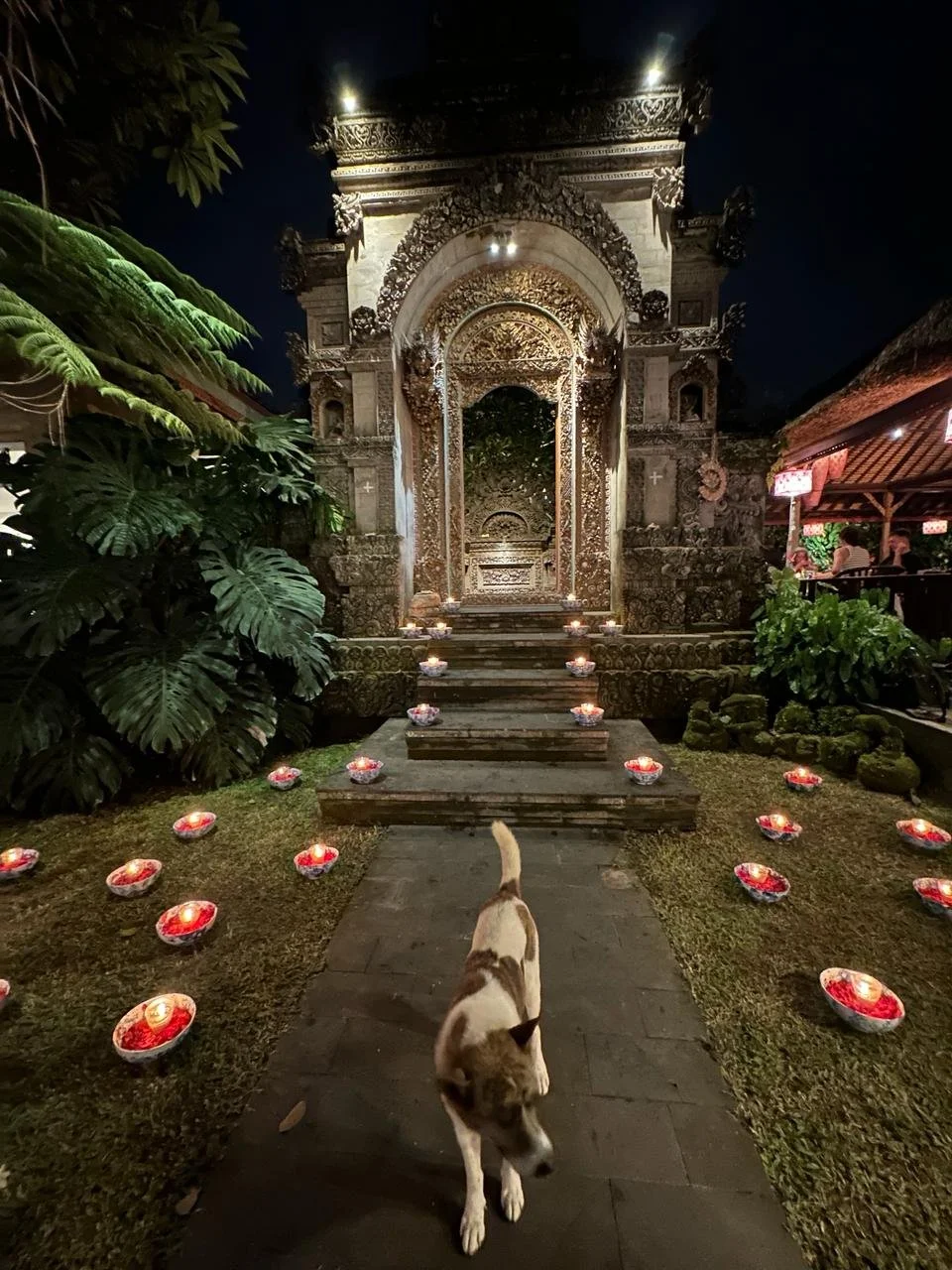 WhatsApp Image 2024-04-09 at 13.11.490.jpeg