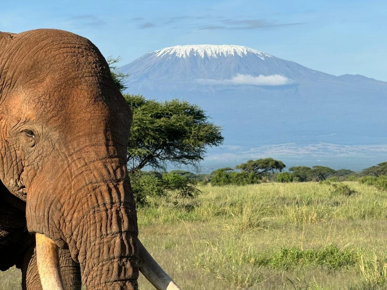 Travel Stories | Around The World With Our Members: Episode 2