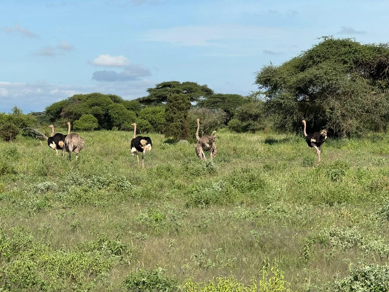 3WhatsApp Image 2024-05-03 at 10.17.10.jpeg