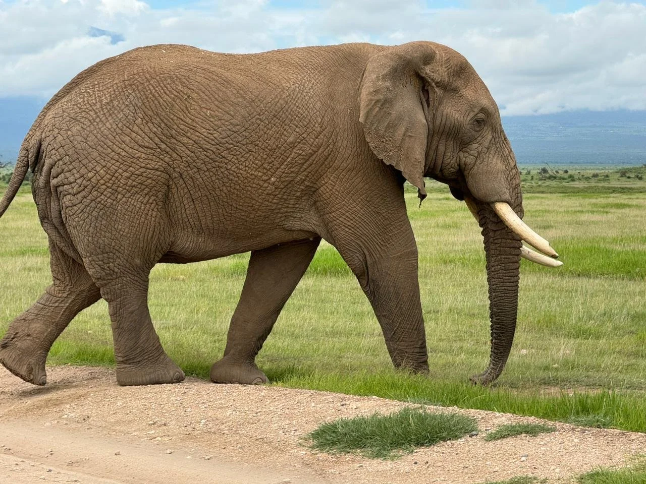 11WhatsApp Image 2024-05-03 at 10.17.06.jpeg