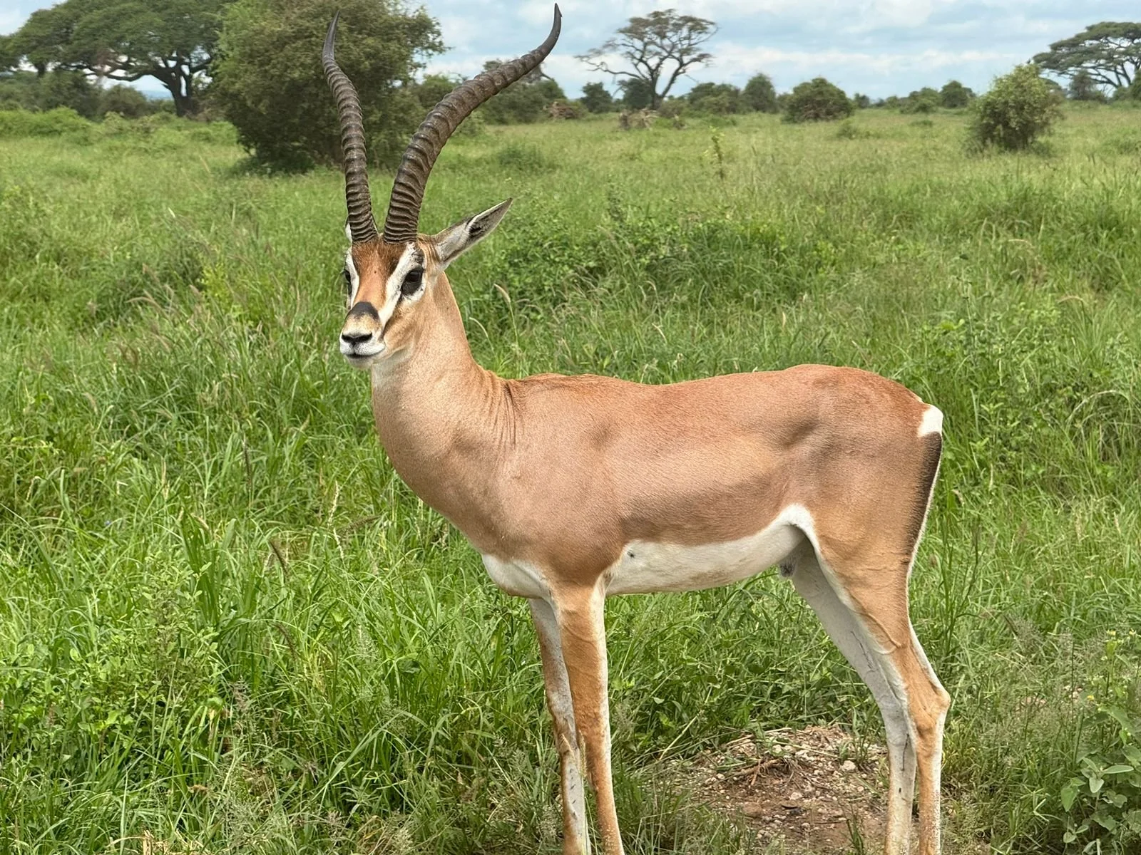 4WhatsApp Image 2024-05-03 at 10.17.08.jpeg