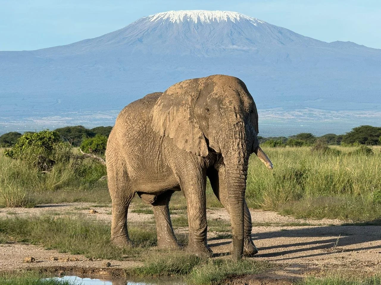 21WhatsApp Image 2024-05-03 at 10.17.08.jpeg