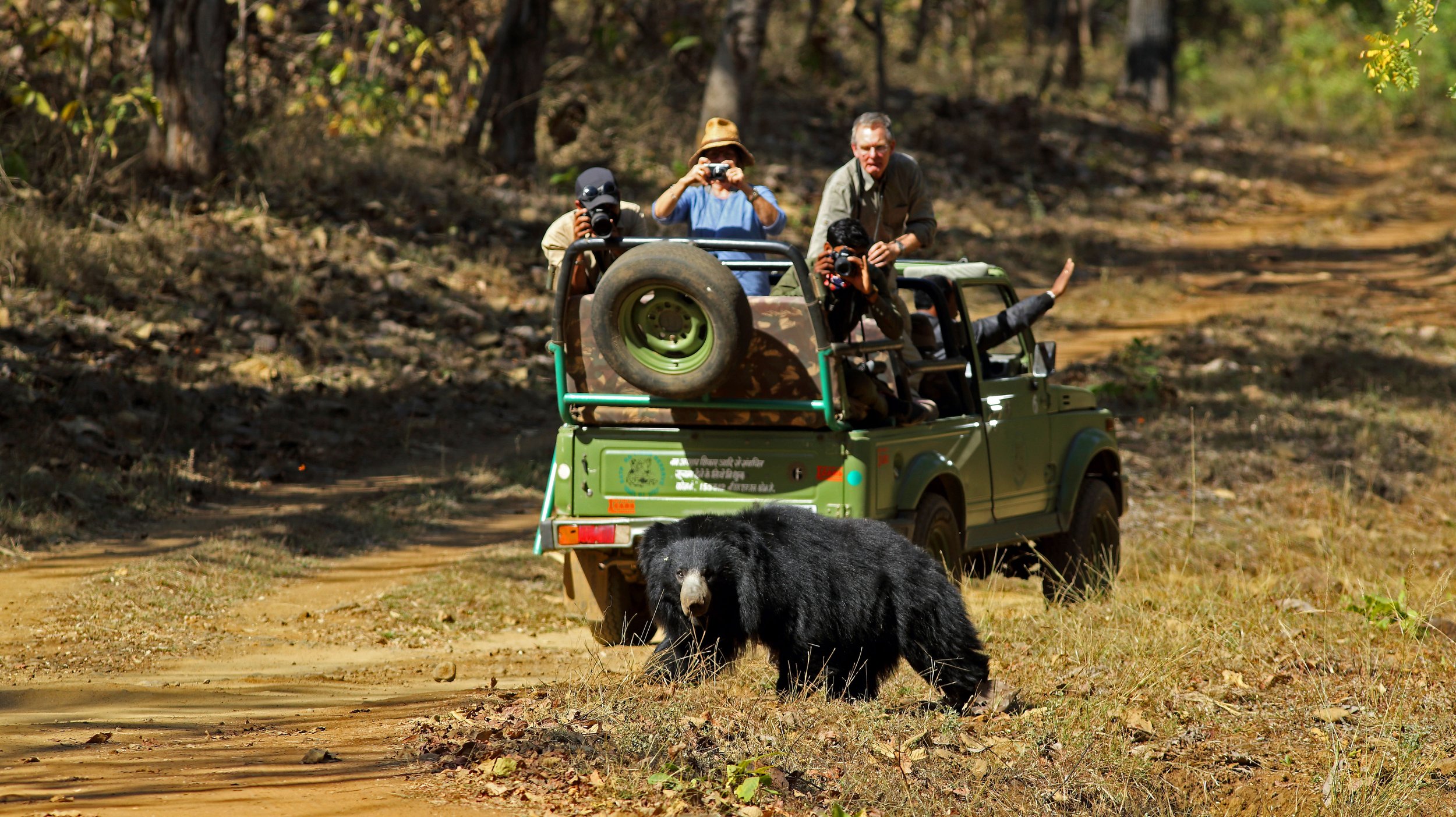 Bori Safari Lodge | Bori Wildlife Sanctuary