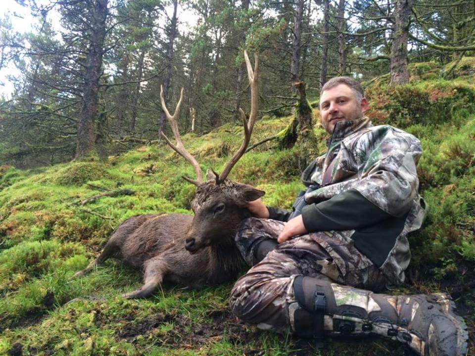 Forest Sika Stag.JPG