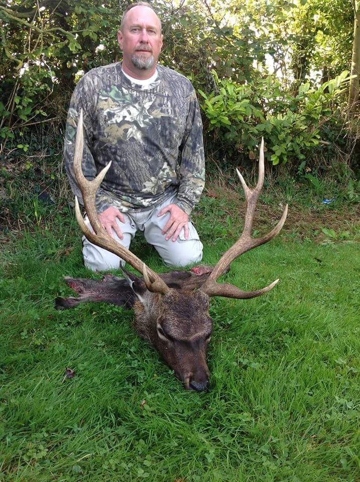 8 point Irish Sika.JPG