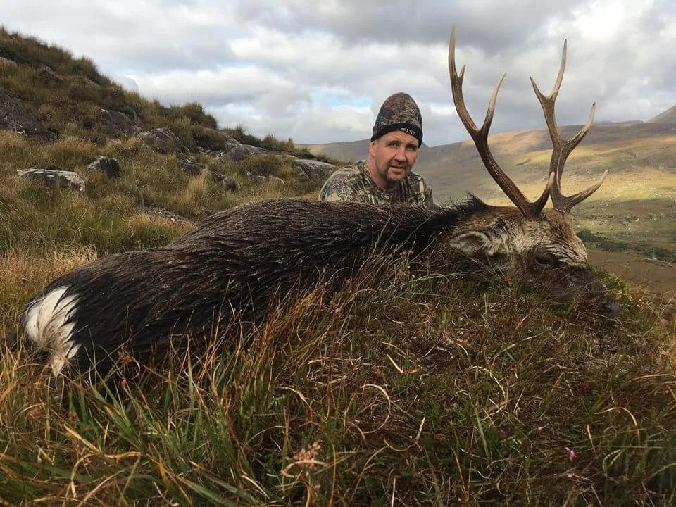 Sika Stag Ireland