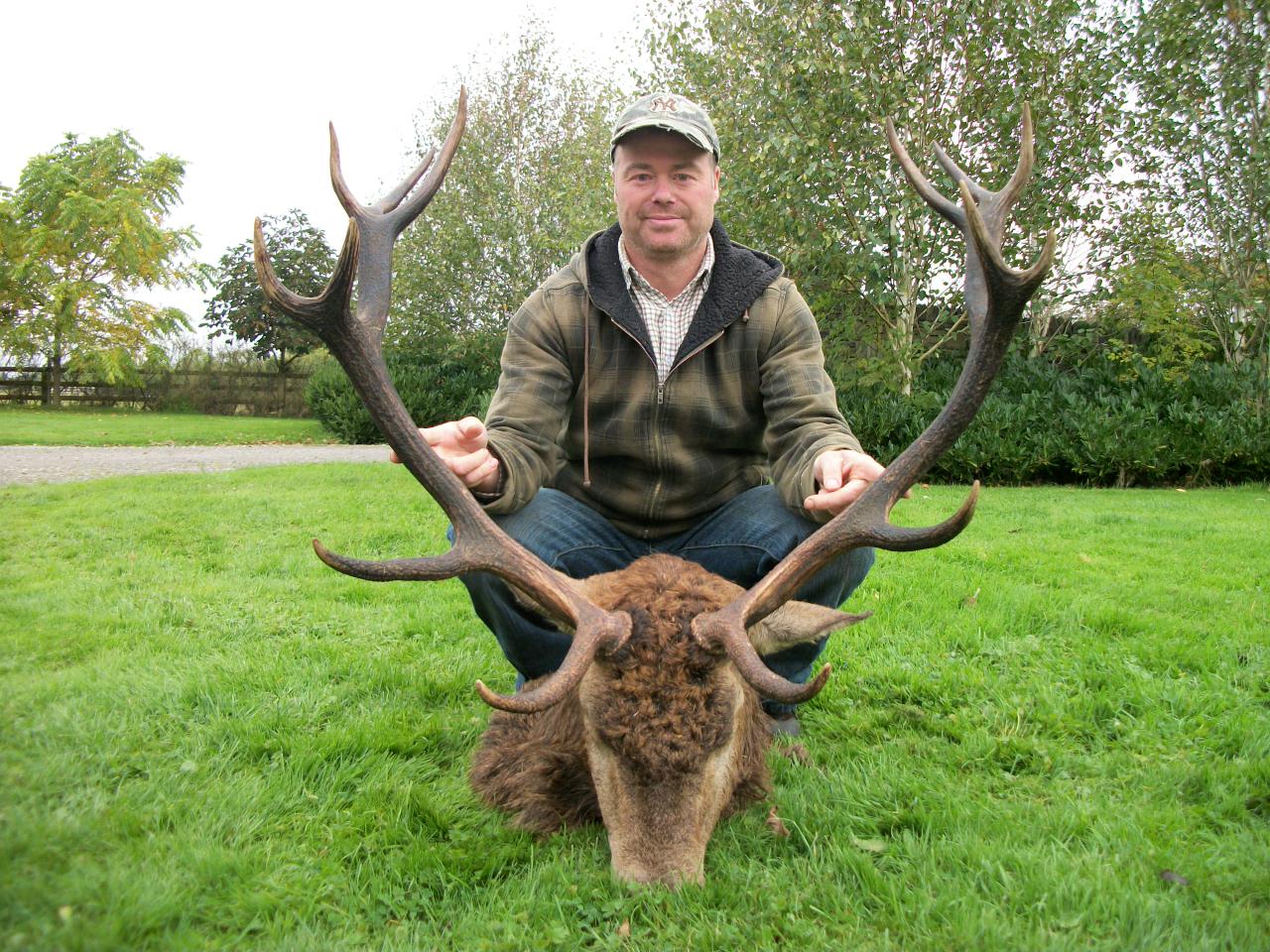 Irish Red Stag.jpeg