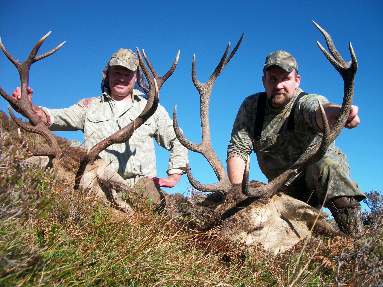 Red Stags Ireland (2).jpeg