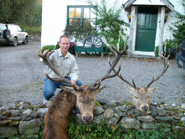 Red Stags Ireland.jpeg