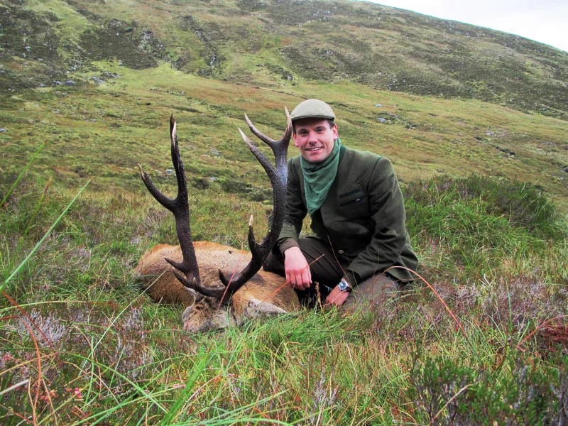 red stag.jpg