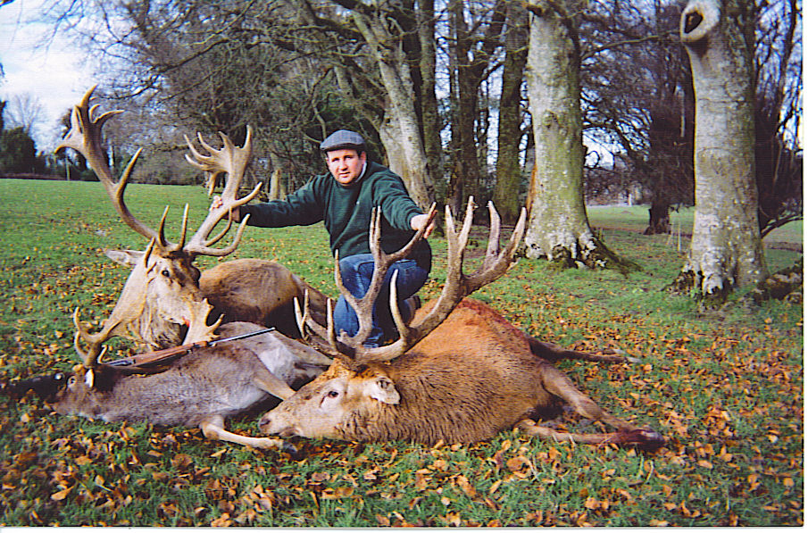 Red Stag Hunting Ireland.jpeg