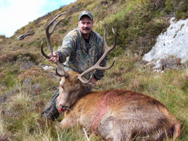 Red Stag Ireland (2).jpeg