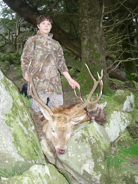 Wicklow Red Stag.jpeg