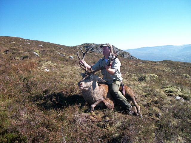 Wicklow Red Deer.jpeg