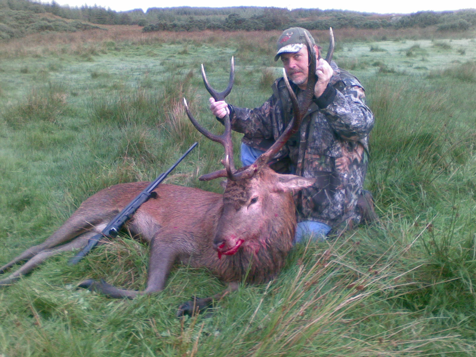 Red Stag Hunting Ireland (2).jpeg