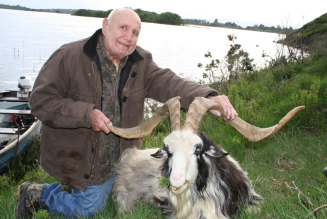 Irish Ibex (2).jpeg