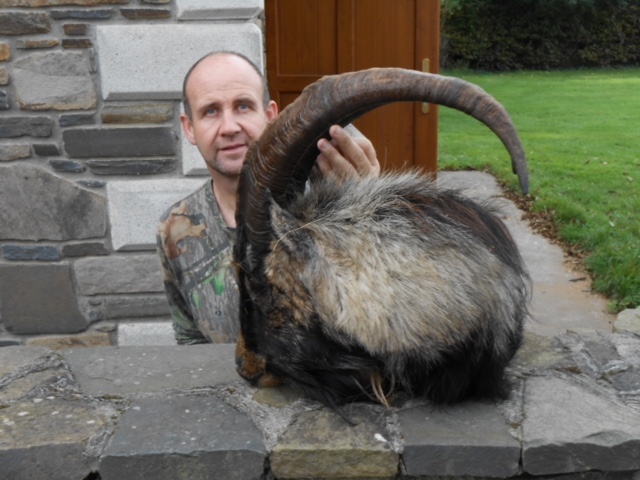 Ibex Ireland  (2).jpeg