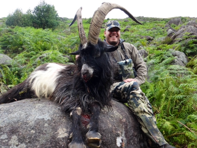 Ireland Ibex Hunt.jpeg