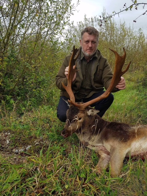 Fallow Deer Ireland (4).jpeg