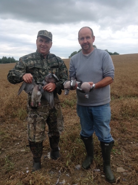 Pigeon Shoot Ireland.jpeg