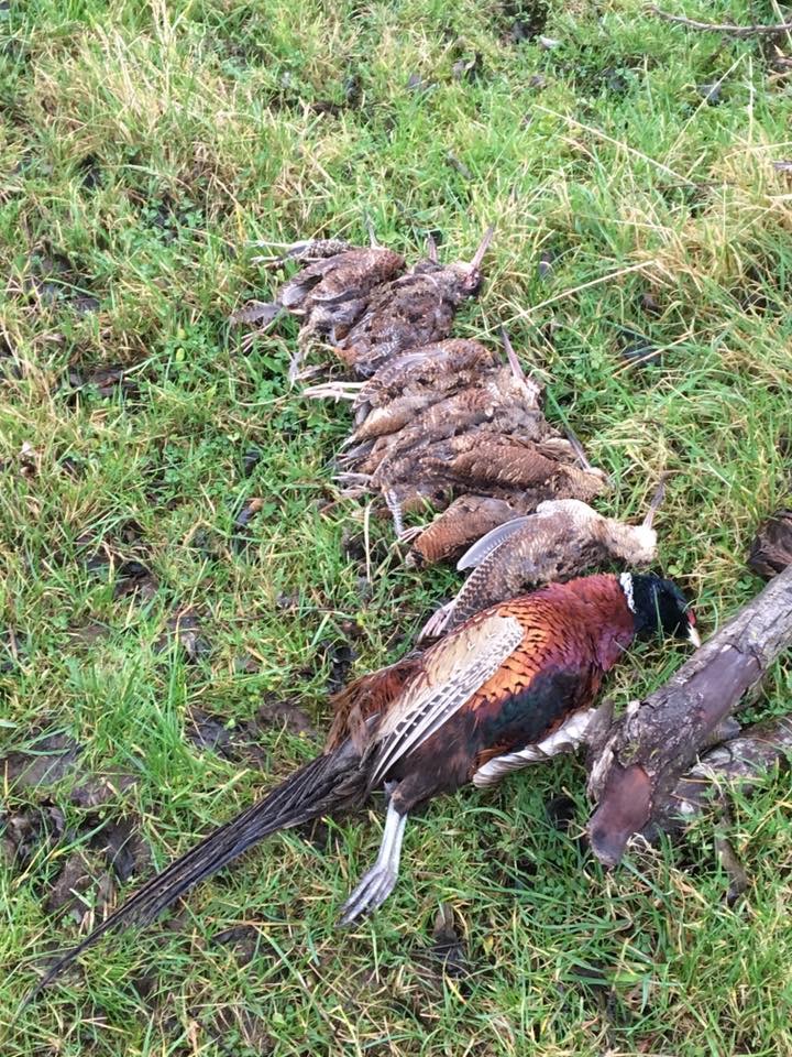 Wing Shooting Ireland 3.jpeg