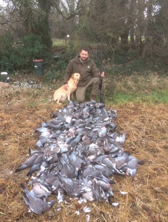 Wingshooting Ireland.jpeg