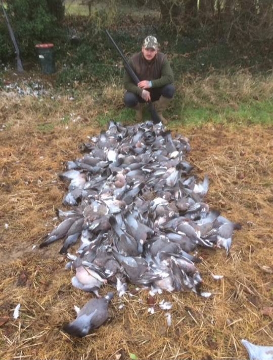 Pigeon Shooting.jpeg